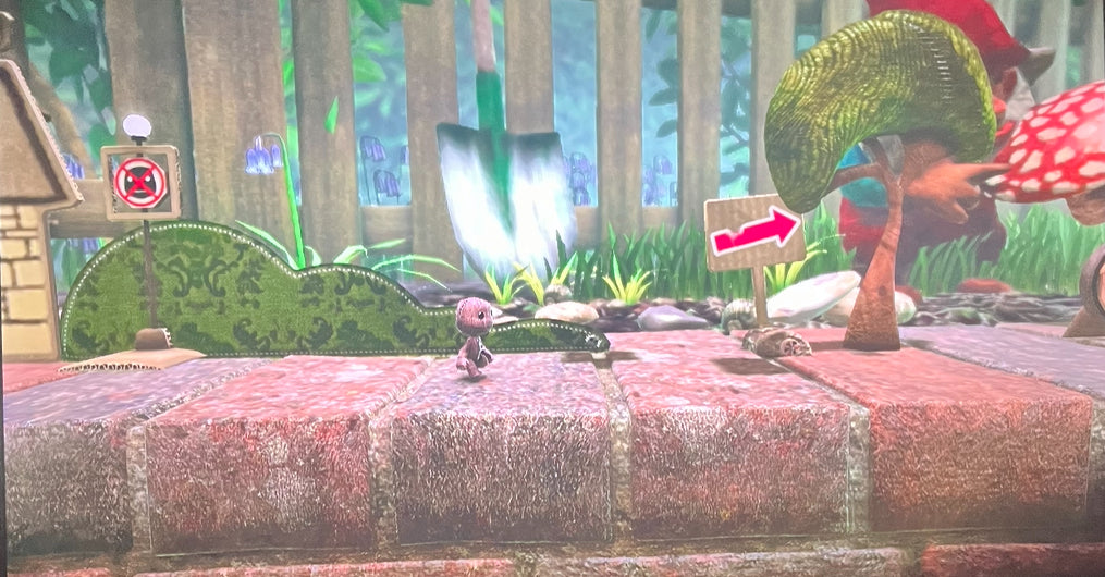 Little Big Planet (PlayStation 3)