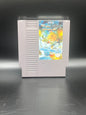 Sky Shark (NES)