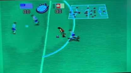 Champions world class soccer (Sega Genesis)￼